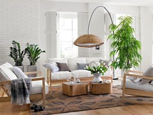 Bật Mí Những Vị Trí Đặt Cây Cảnh Giúp Nhà Đẹp Phát Tài