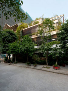 Ngắm Ngôi Nhà Đẹp Phủ Đầy Cây Xanh Cho Người Thành Phố