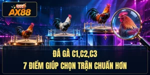 Đá Gà C1,C2,C3 - 7 Điểm Giúp Chọn Trận Chuẩn Hơn