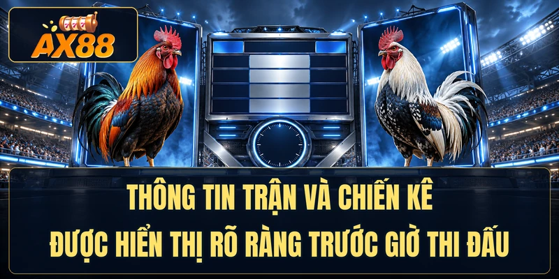 Thông tin cần kiểm tra khi theo dõi các trận gà tại Thomo